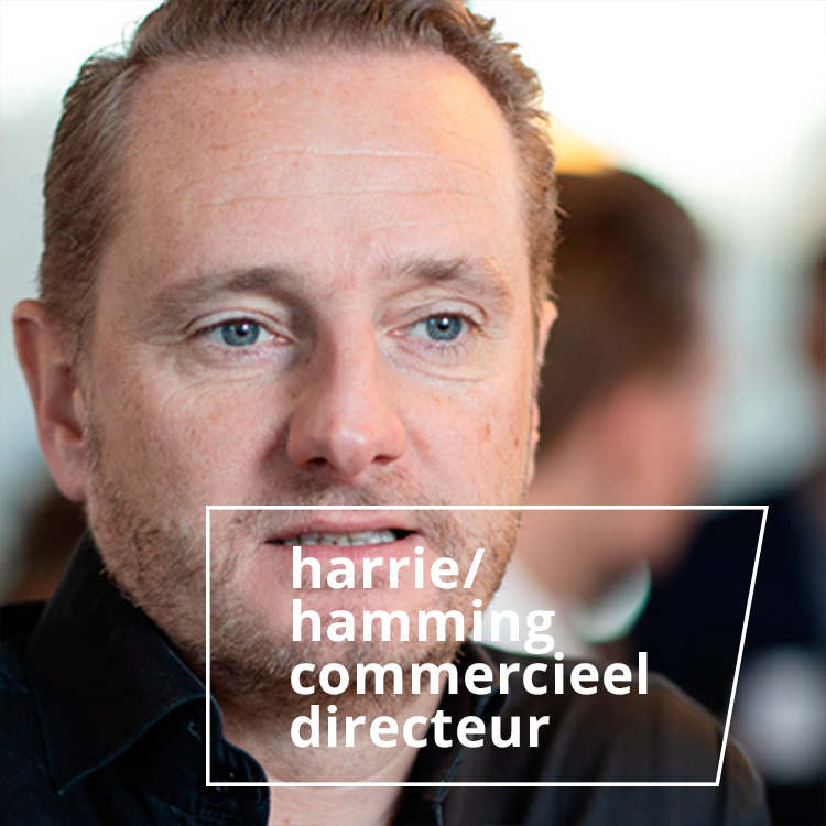 Harrie Hamming - commercieel directeur